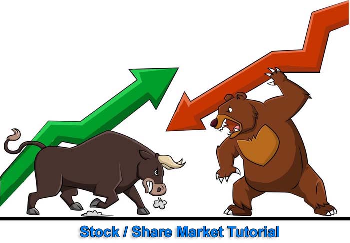 Stock Market Fundamentals for Beginners